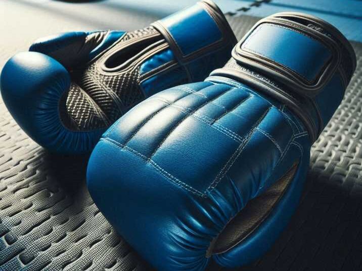 Boxing Gloves and Muay Thai Gloves
